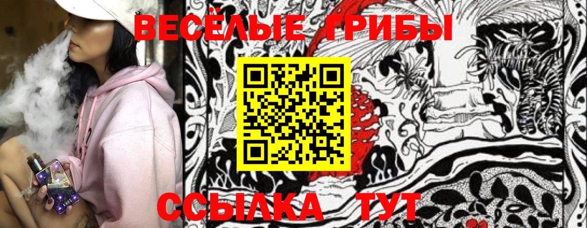 Новоалтайск  Галлюциногенные грибы GOLDEN TEACHER  Вход с VPN 