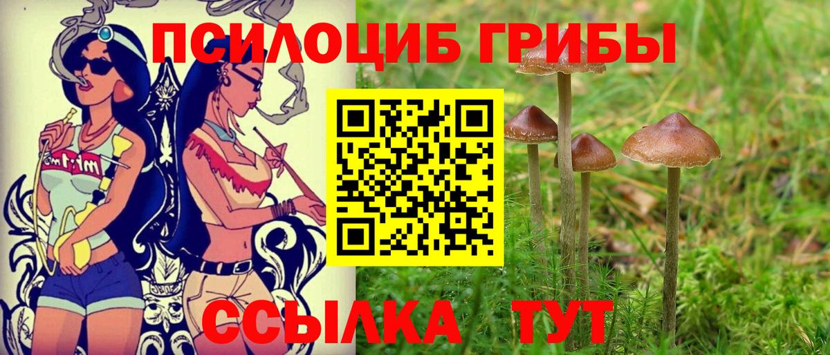 Галлюциногенные грибы ЛСД Новоалтайск